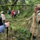 how-to-plan-a-bwindi-gorilla-tour-from-kigali