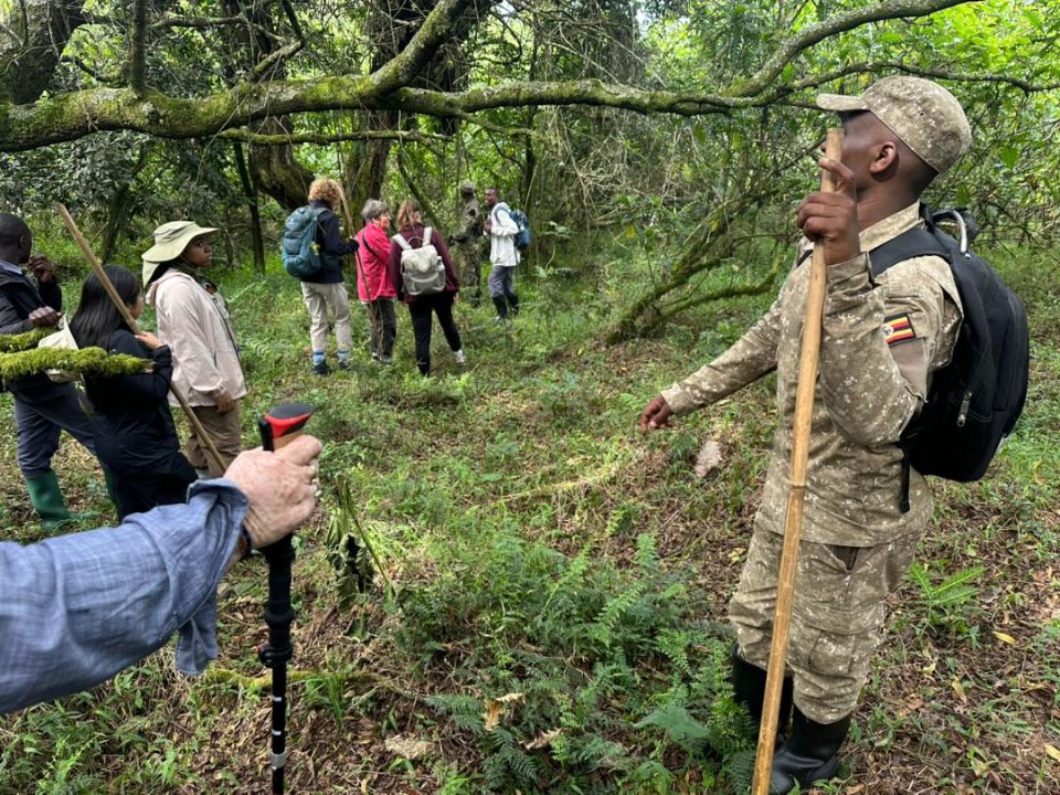 how-to-plan-a-bwindi-gorilla-tour-from-kigali