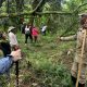 gorilla-trek-and-golden-monkey-safari