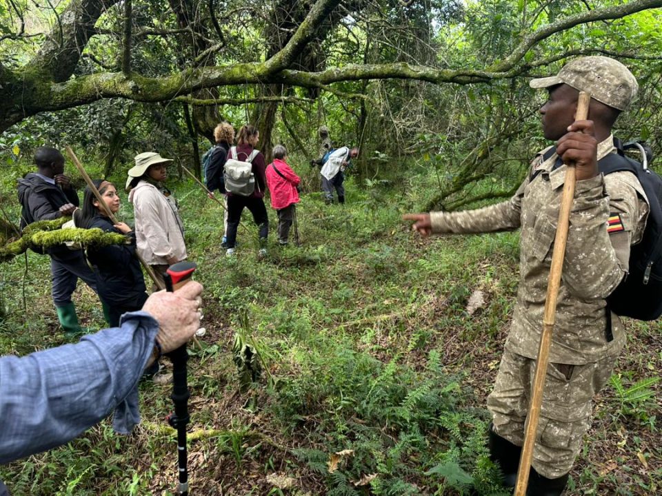gorilla-trek-and-golden-monkey-safari