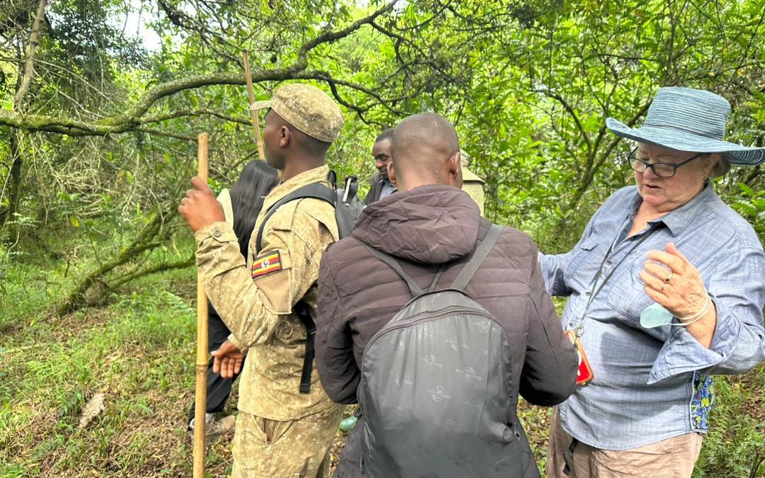 mini-gorilla-tour-in-uganda
