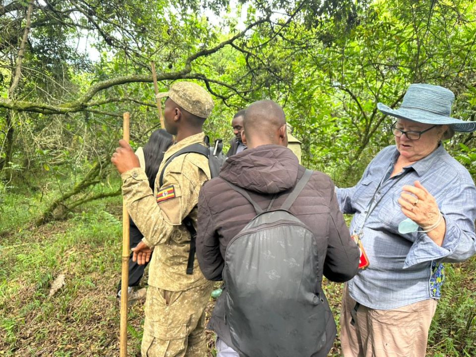 mini-gorilla-tour-in-uganda