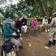 short-gorilla-tour-from-kigali