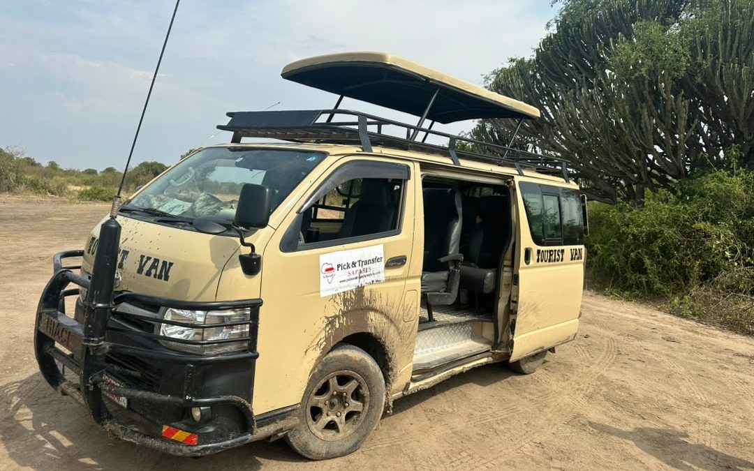 short-uganda-wildlife-safari