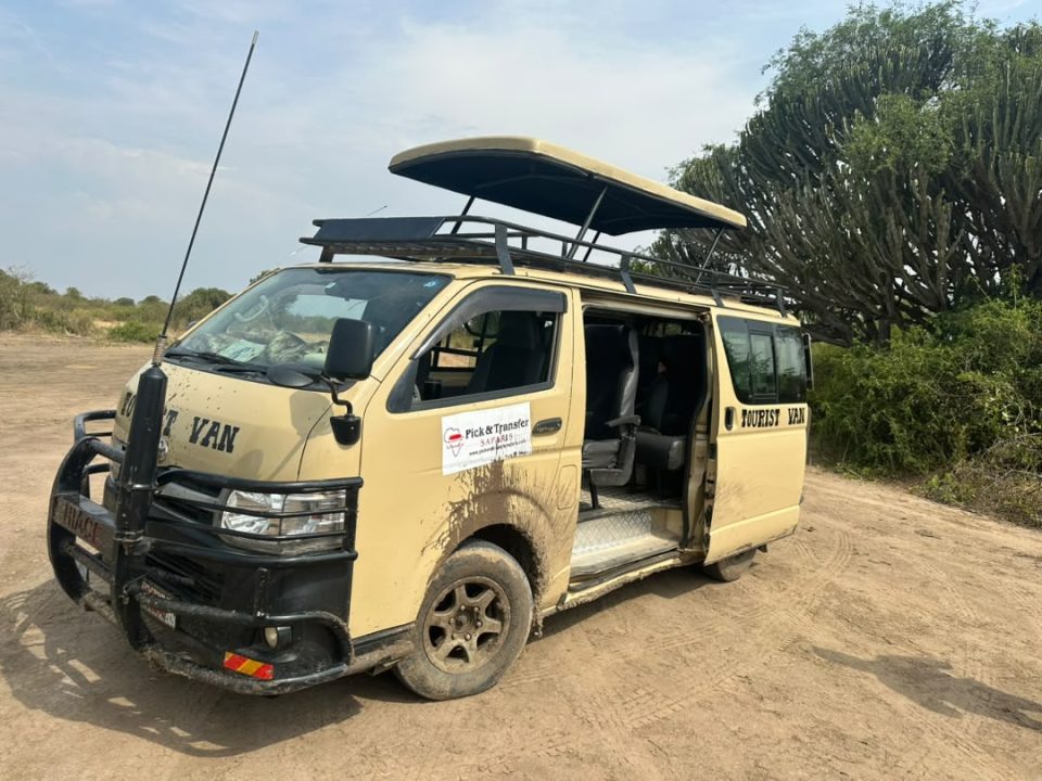short-uganda-wildlife-safari