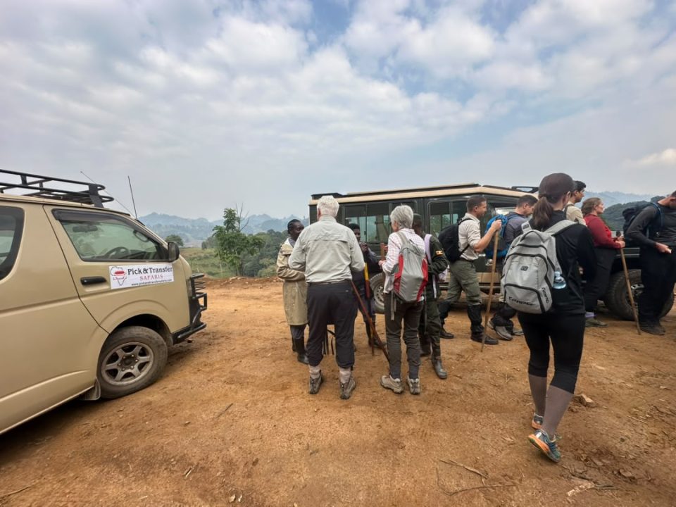 short-gorilla-trips-1-3-days