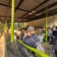 gorilla-trek-and-lake-bunyonyi-tour