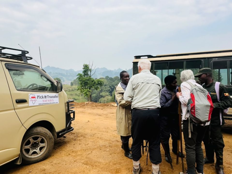 which-tour-companies-book-gorilla-permits-in-uganda