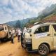how-far-in-advance-should-i-book-gorilla-trekking-permit