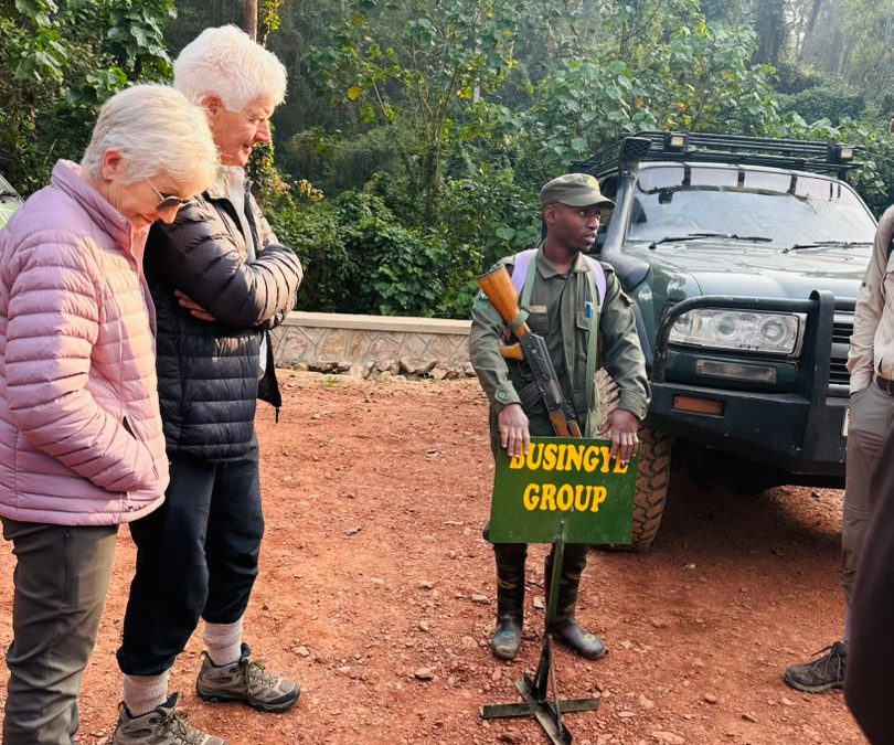 how-to-do-cheap-gorilla-tour-in-uganda