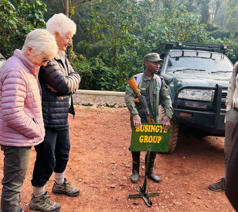 how-to-do-cheap-gorilla-tour-in-uganda