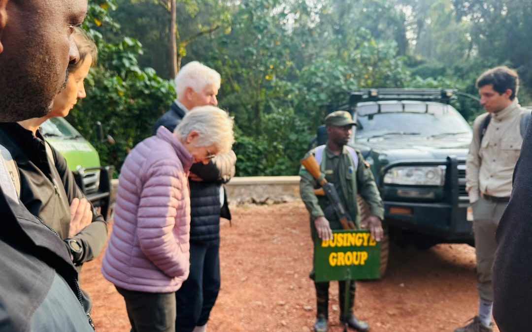 gorilla-trek-and-murchison-falls-safari