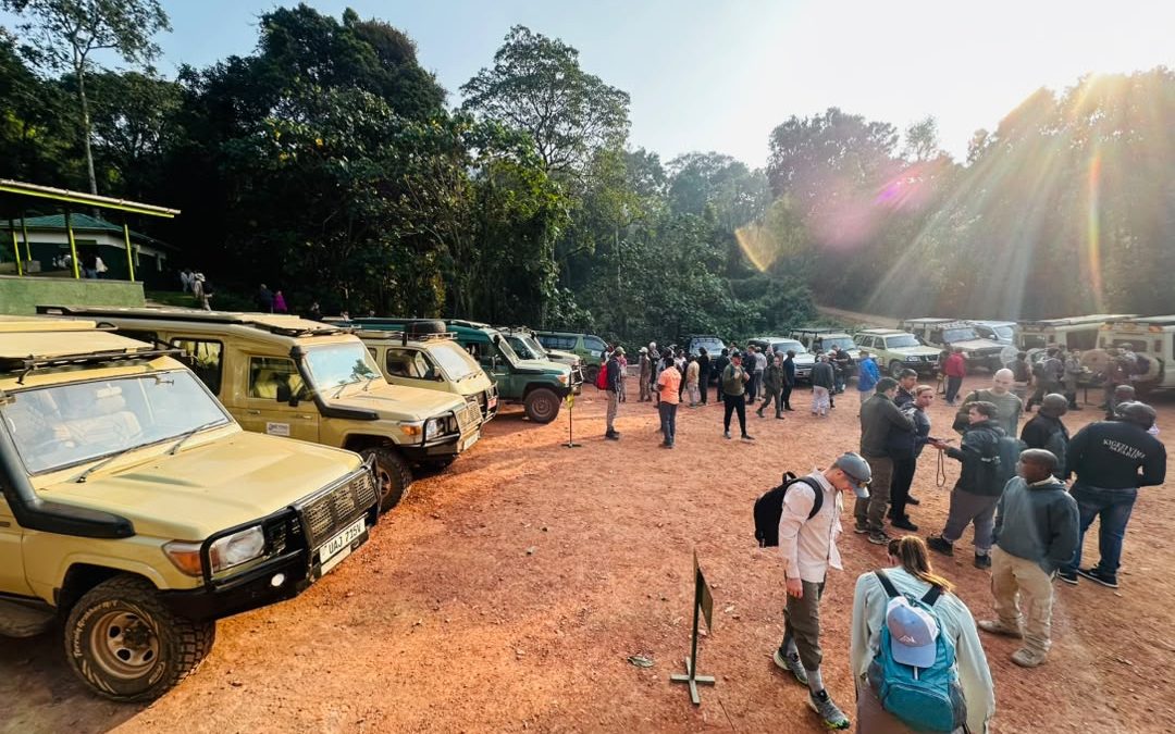 gorilla-safari-trips-starting-from-kigali