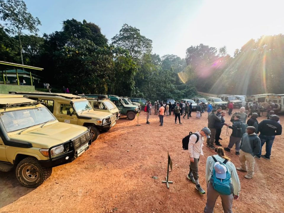 gorilla-safari-trips-starting-from-kigali