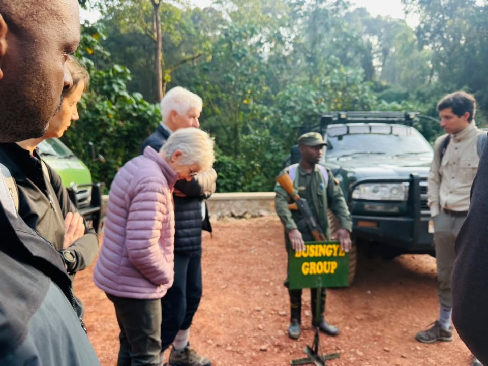 gorilla-trek-and-murchison-falls-safari