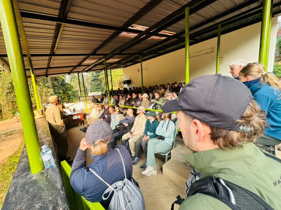 best-short-uganda-rwanda-gorilla-tours-for-2027-2028-2029-2030