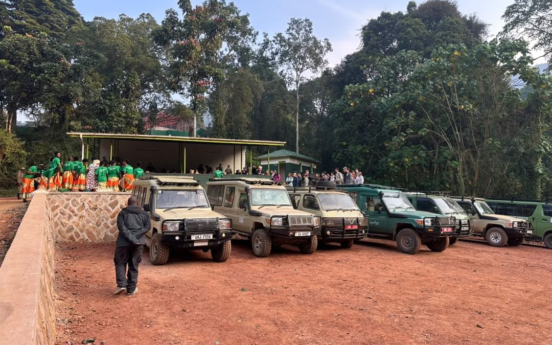 kigali-gorilla-trek-in-bwindi