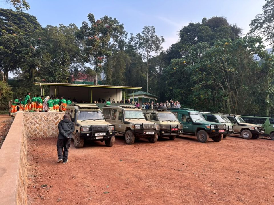 kigali-gorilla-trek-in-bwindi