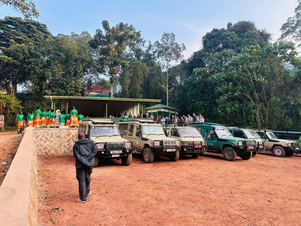 kigali-to-cyanika-border-and-bwindi