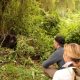 quick-gorilla-safari-in-uganda