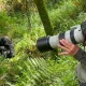 cheap-2-day-gorilla-trekking-tour-from-kigali-to-bwindi