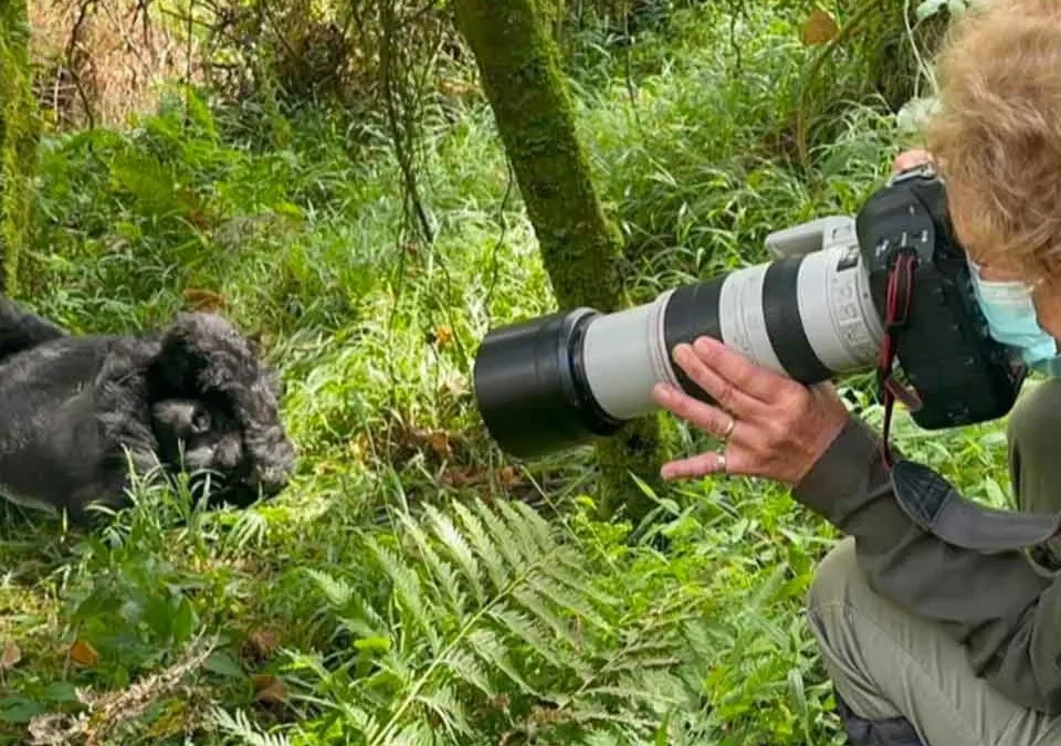 cheap-2-day-gorilla-trekking-tour-from-kigali-to-bwindi