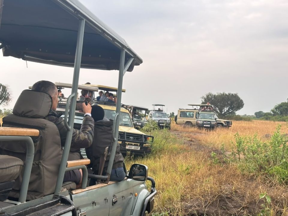 2-days-gorilla-trekking-safari-from-kigali