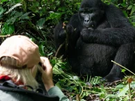 Short mountain gorilla tours in Uganda