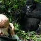 short-mountain-gorilla-tours-in-uganda