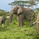 start-my-tour-from-kigali-not-entebbe