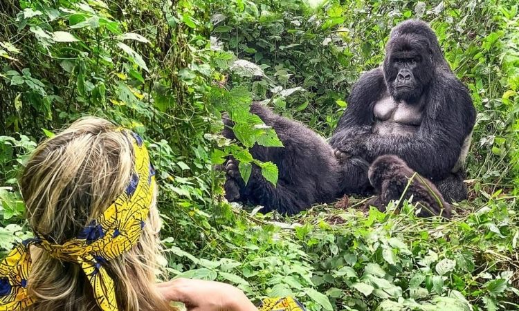 2-day-short-gorilla-trekking-safari