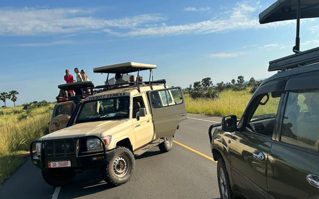 car-hire-companies-near-mgahinga-national-park