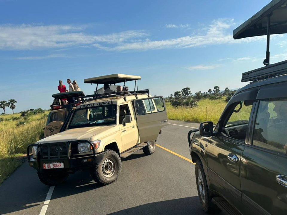 car-hire-companies-near-mgahinga-national-park