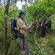 short-gorilla-trek-trips-in-rwanda