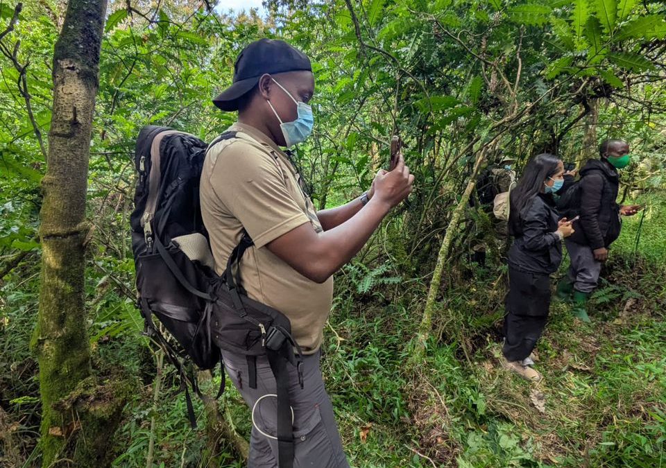 short-gorilla-trek-trips-in-rwanda
