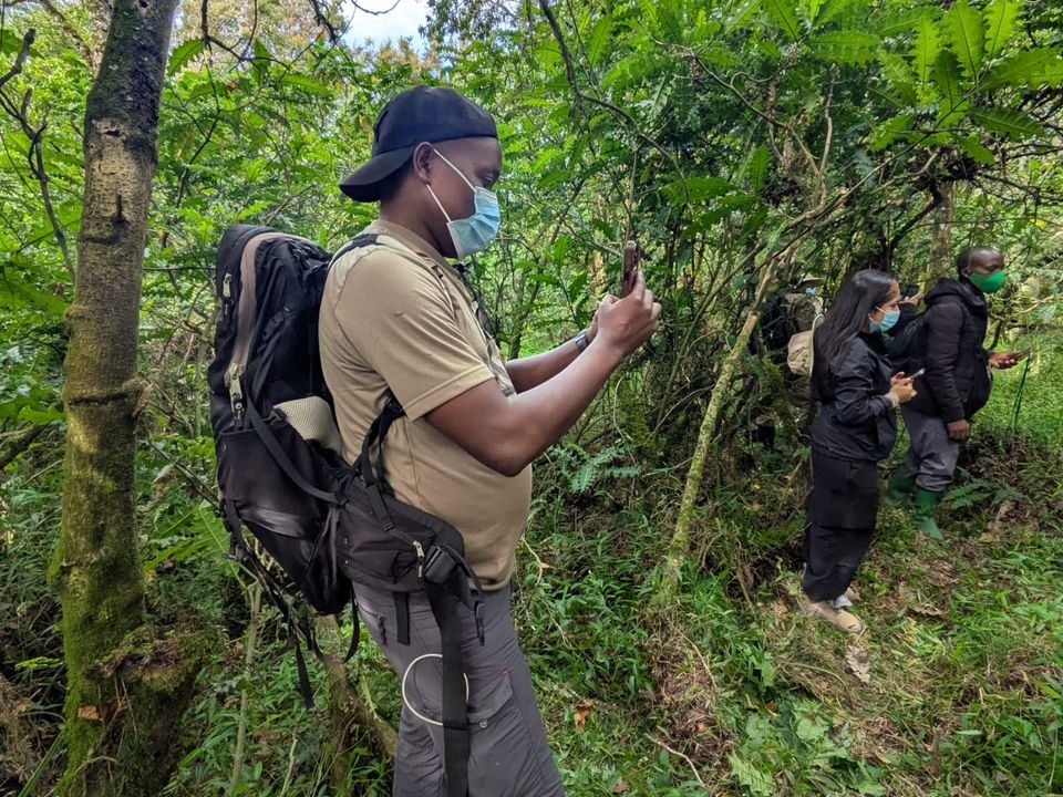 short-gorilla-trek-trips-in-rwanda