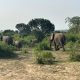 park-transfers-from-kigali