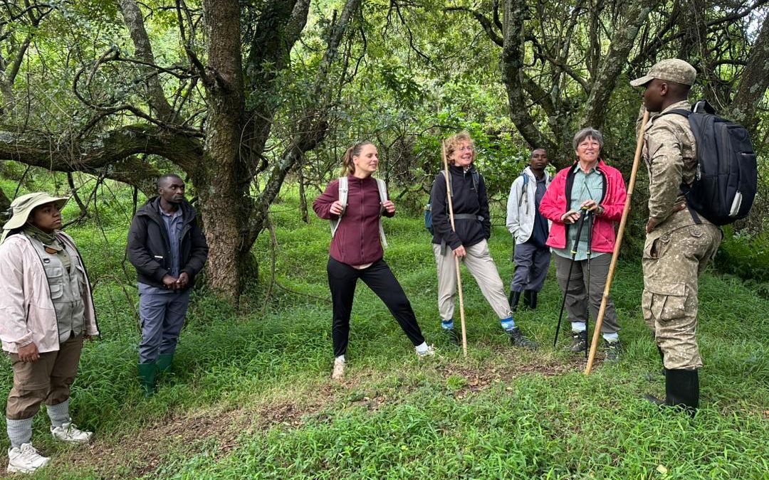 short-gorilla-tracking-safaris-in-uganda-starting-from-kigali