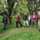 short-gorilla-tracking-safaris-in-uganda-starting-from-kigali
