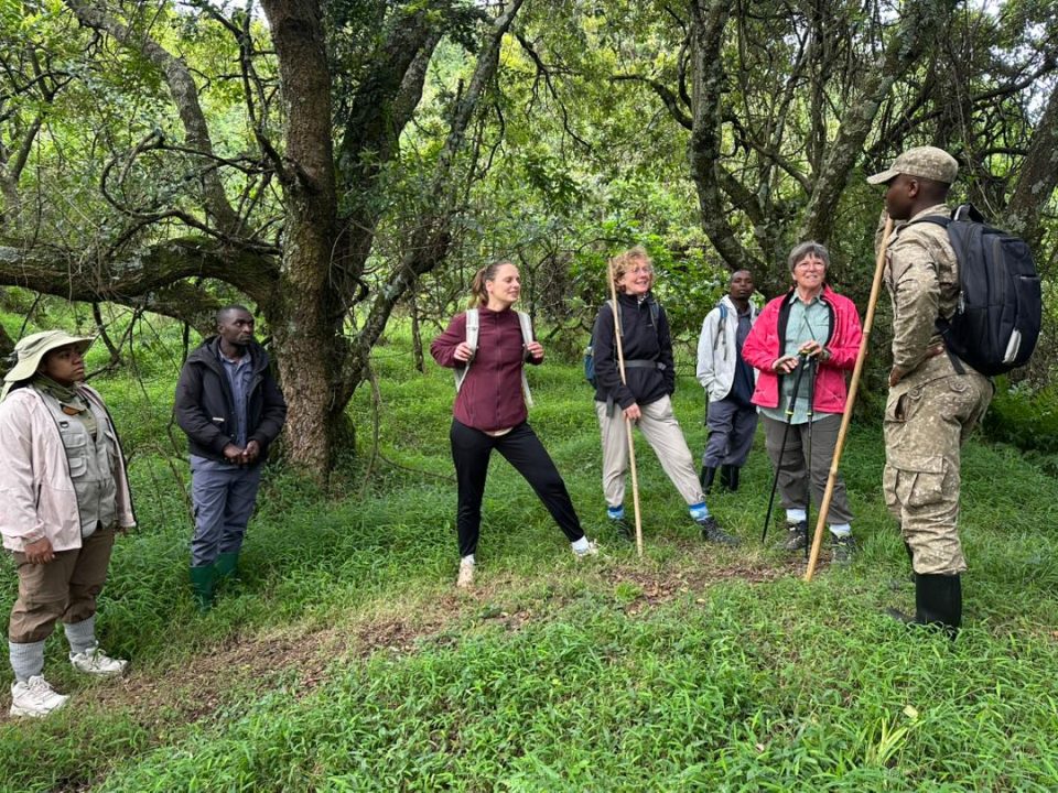short-gorilla-tracking-safaris-in-uganda-starting-from-kigali