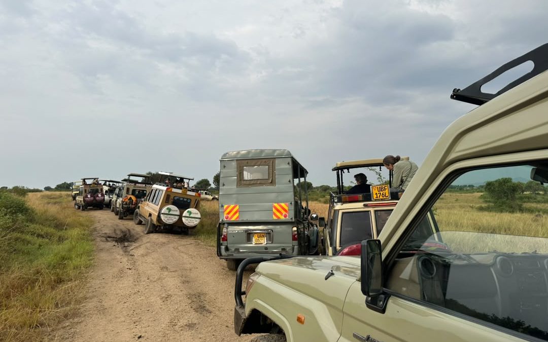 car-hire-companies-in-kisoro