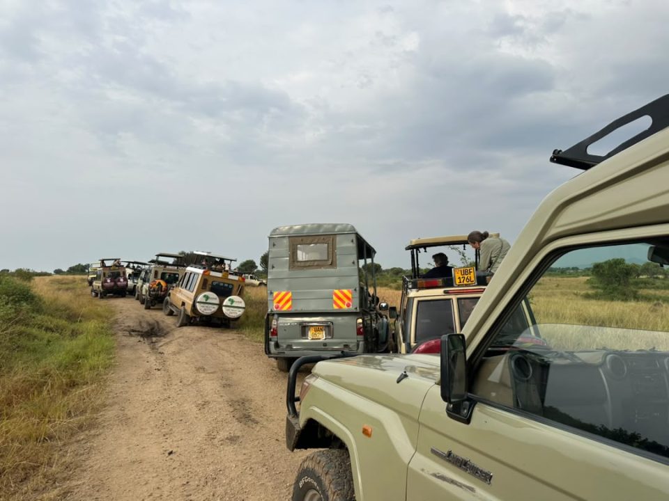 car-hire-companies-in-kisoro