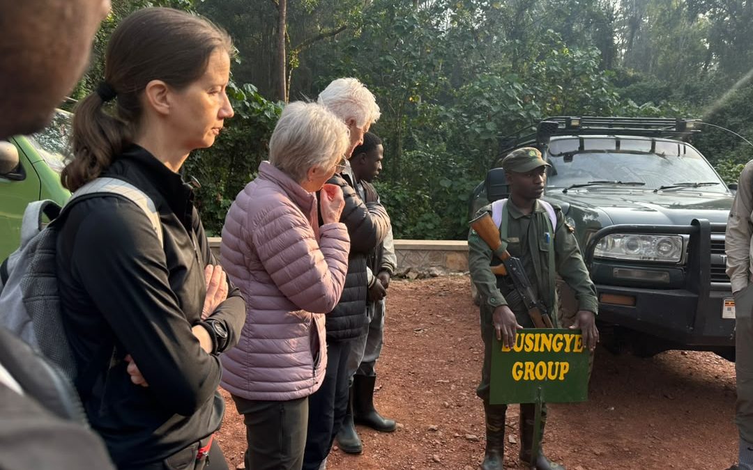 one-day-kigali-to-bwindi-gorilla-trekking