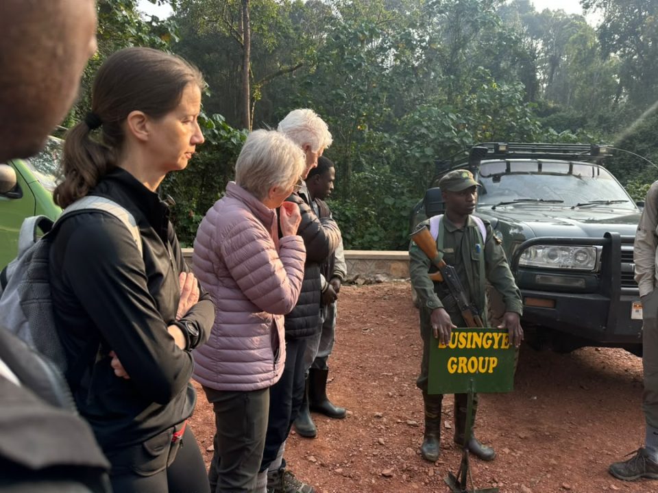 one-day-kigali-to-bwindi-gorilla-trekking