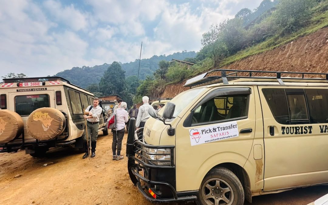 2-day-gorilla-tracking-tour-from-kigali-to-bwindi-forest
