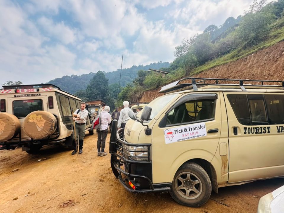 2-day-gorilla-tracking-tour-from-kigali-to-bwindi-forest