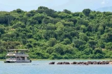 7 Days Tour to Murchison Kibale Queen and Bwindi National Parks