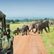 best-safaris-crossing-to-uganda-from-rwanda