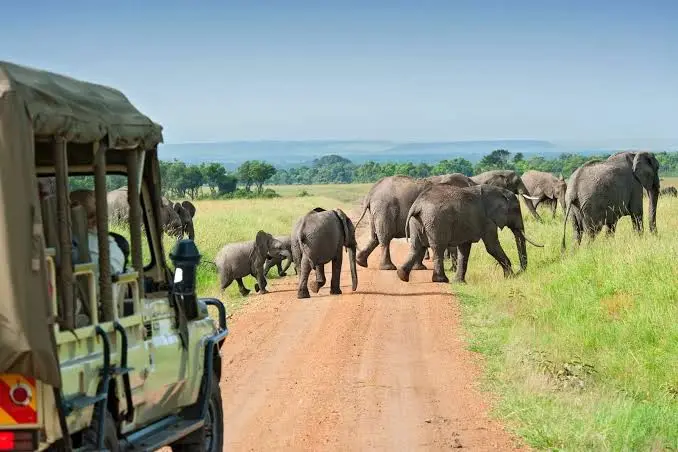 best-safaris-crossing-to-uganda-from-rwanda
