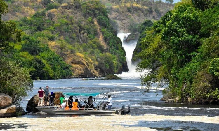 1-day-safari-to-murchison-falls-national-park